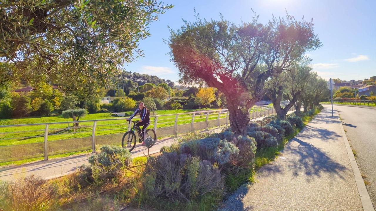 Villa Reiala Plan-De-Cuques Marseille Kültér fotó